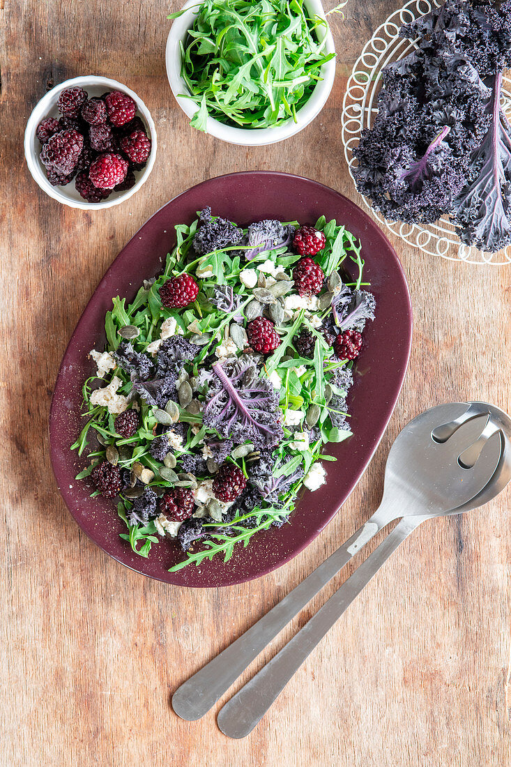 Grünkohlsalat mit violettem Grünkohl, Rucola, Brombeeren und Feta