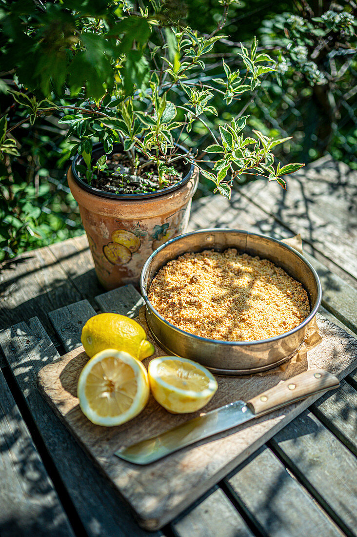 Lemon cake on a garden table