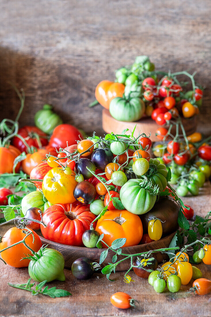 Still life with colorful tomatoes