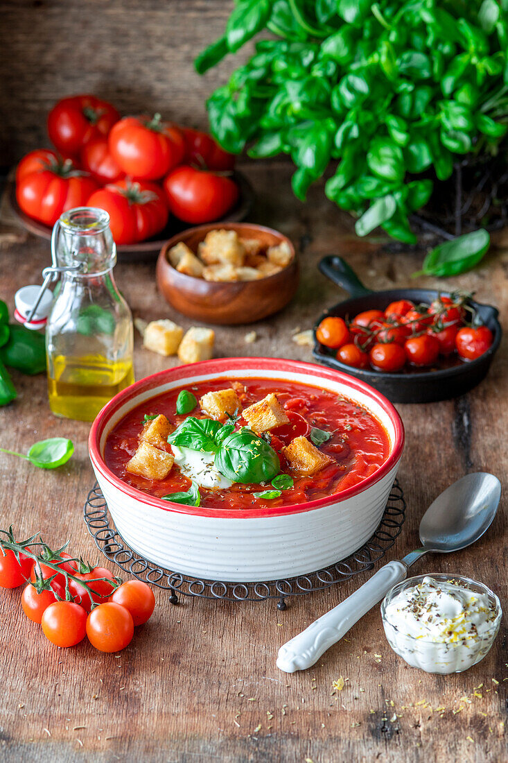 Tomatensuppe mit Croûtons