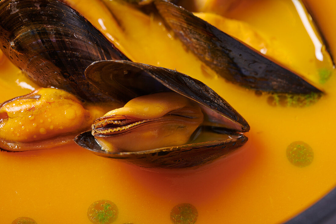 Pumpkin soup with mussels
