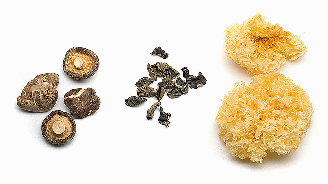Dried mushrooms – shiitake, mu-err and yin-err