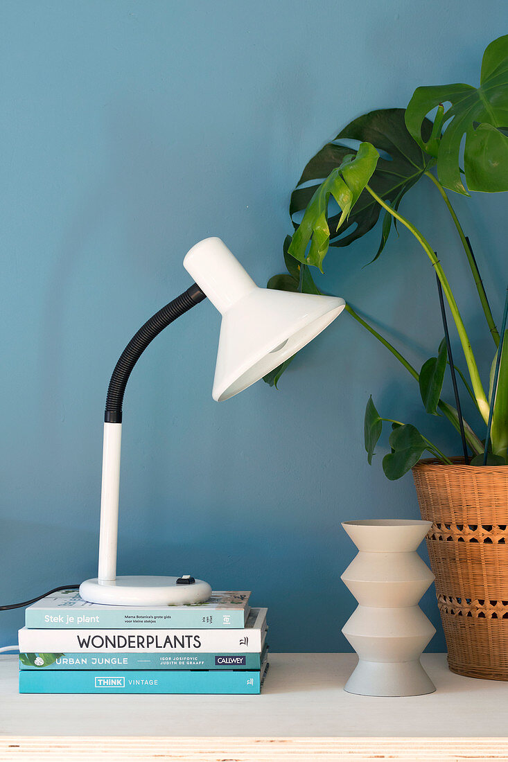 Table lamp on stacked books next to Swiss cheese plant in basket