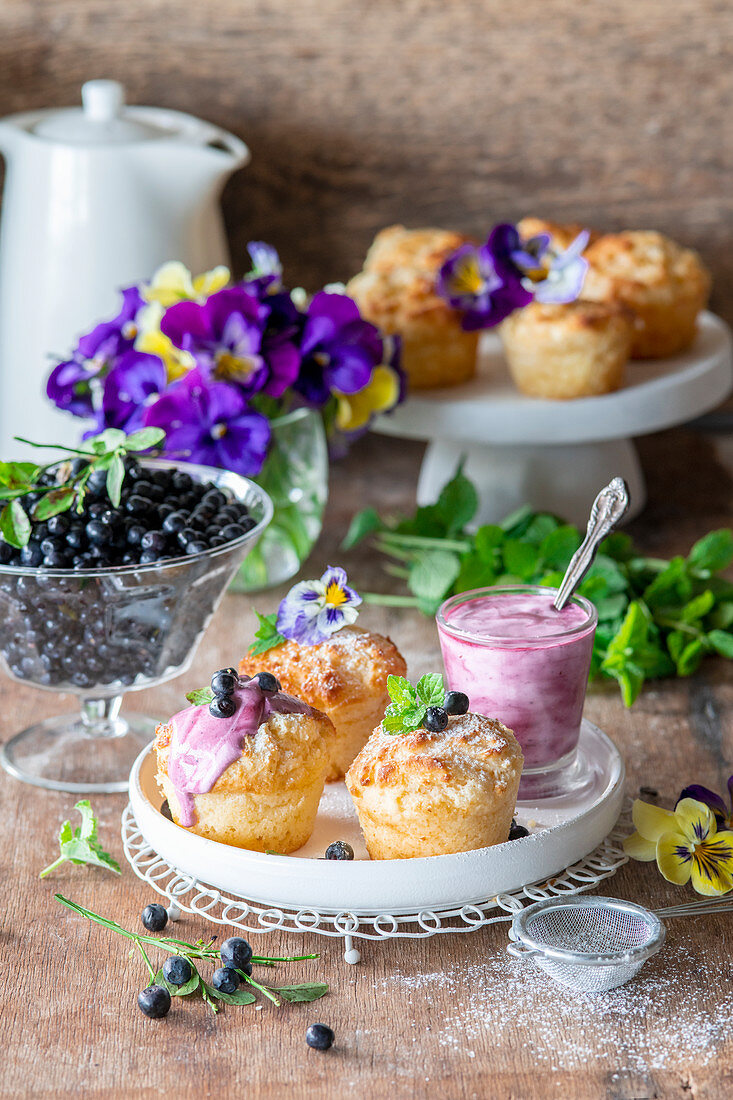 Blueberry cottage cheese cakes