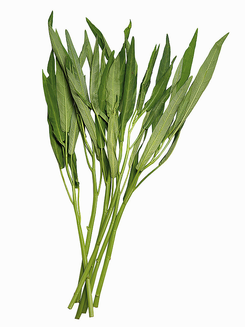 Chinese water spinach