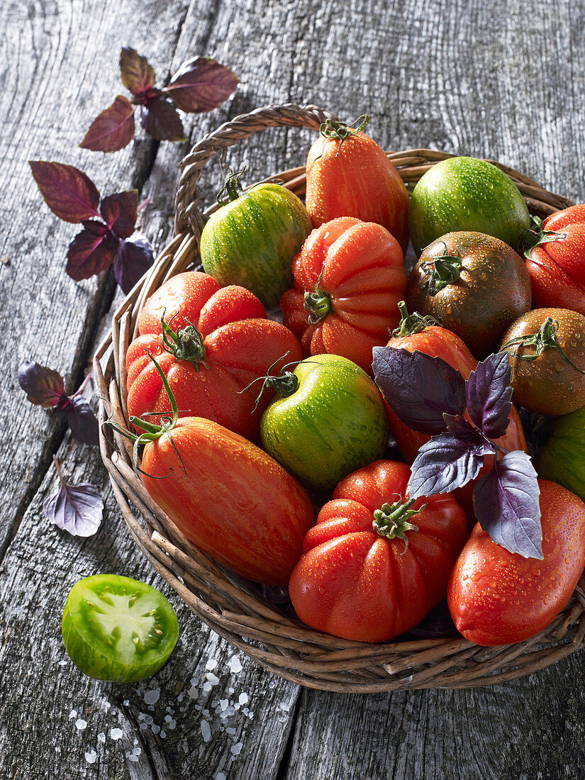 Various tomatoes with basil in a wicker basket