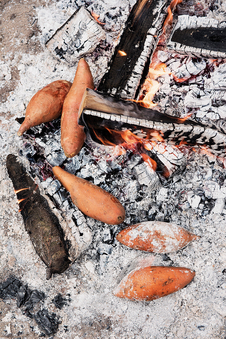 Sweet potatoes cooking in the embers of a barbecue fire