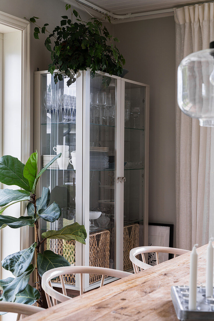 A view across a dining table of a crockery cupboard and house plants