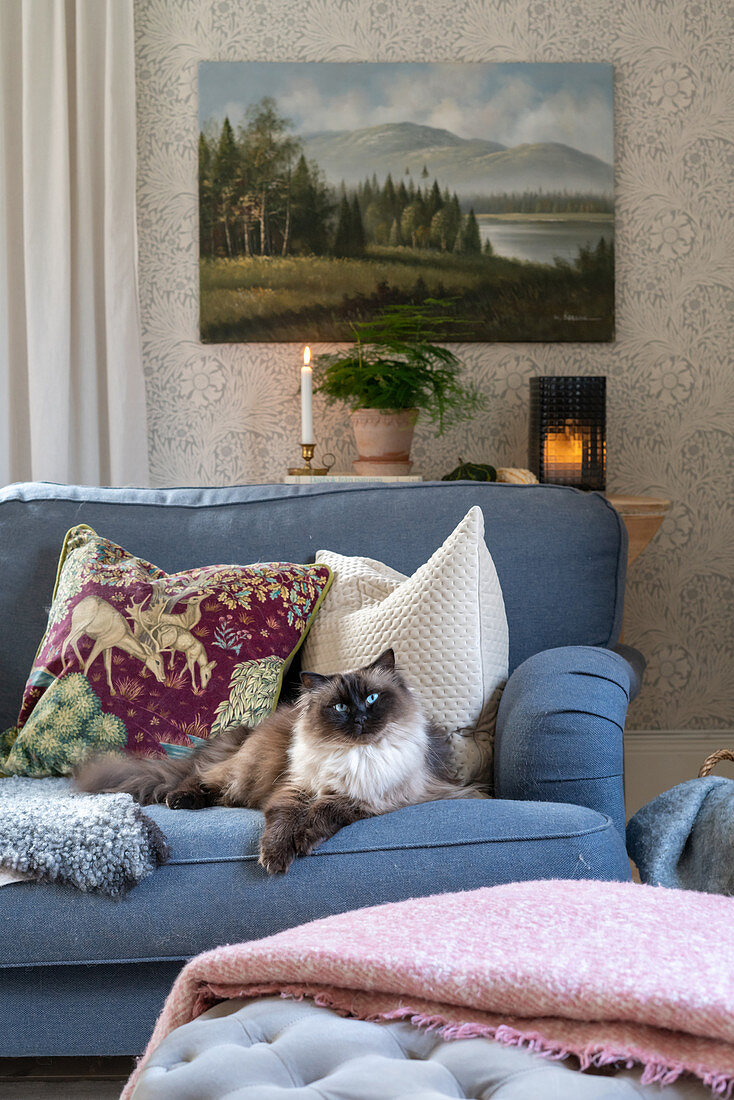 Patterned pillows and a cat on a blue upholstered sofa in a living room