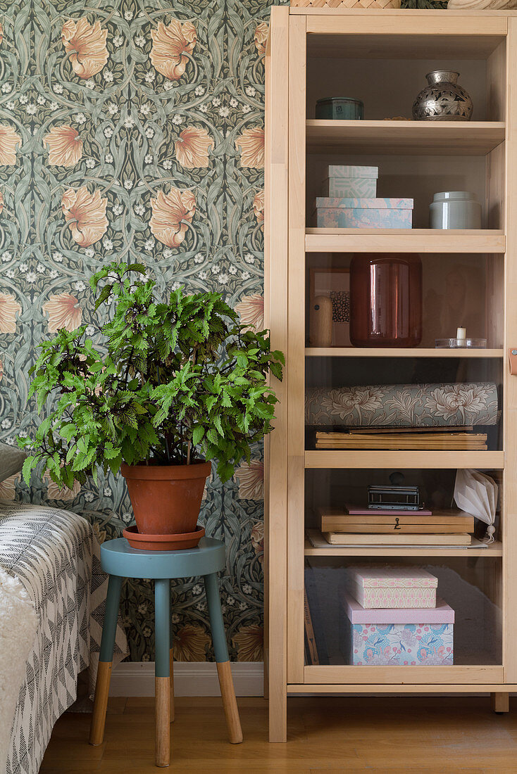 Houseplant on stool between bed and cupboard with glass door