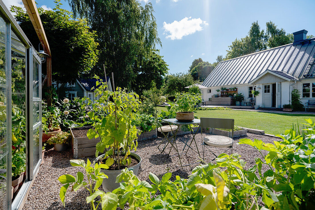 Terrassenplatz vor Gewächshaus im Garten