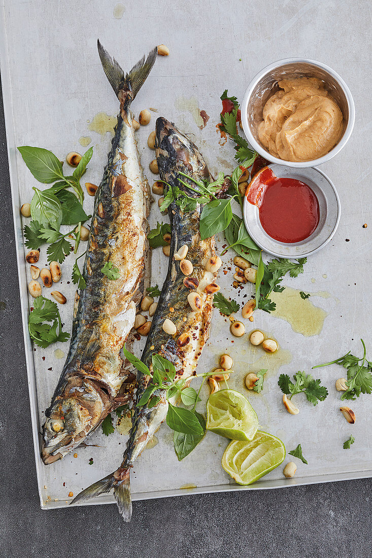 Grilled mackerel with a herb coating and peanut sauce