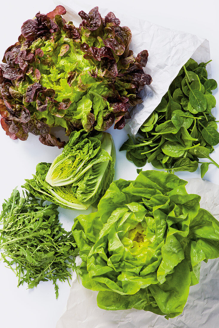 Spring lettuces – cos lettuce, butterhead lettuce, rocket, spinach