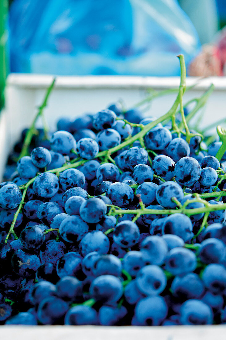 Red grapes