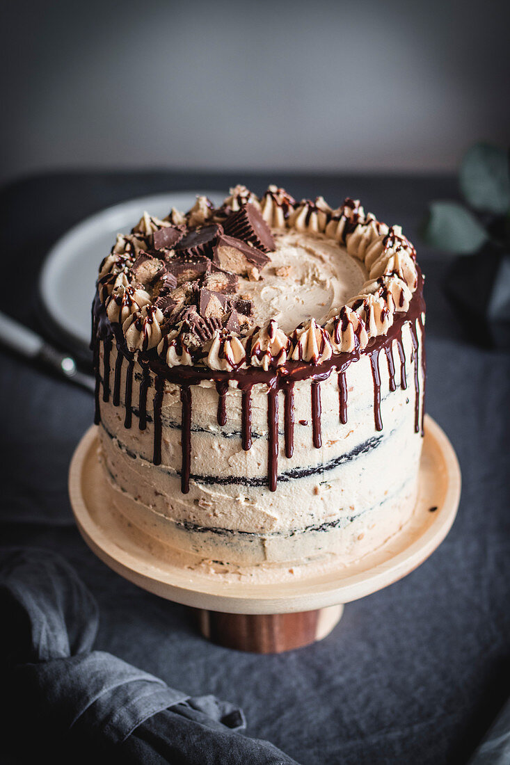 Chocolate peanut butter layer cake