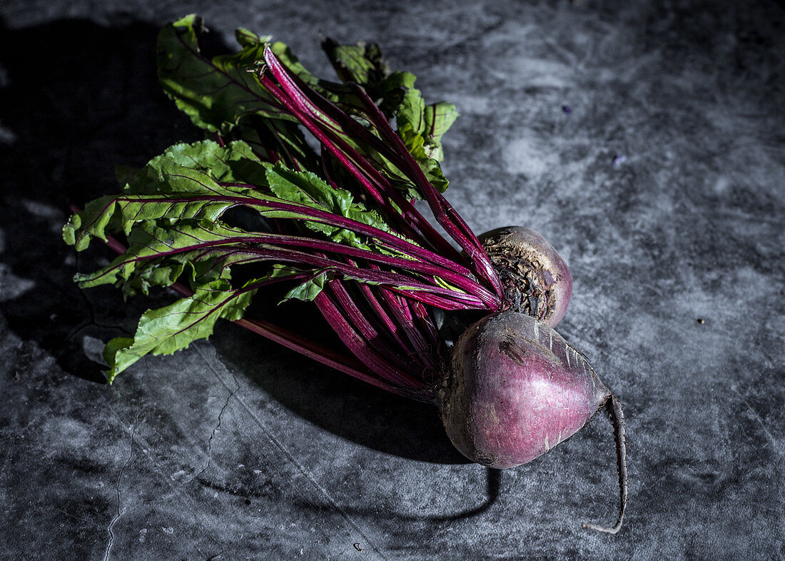 Fresh beets with beet greens on a gray background