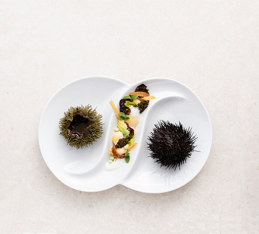 Sea urchins with caviar, buttermilk and romaine lettuce