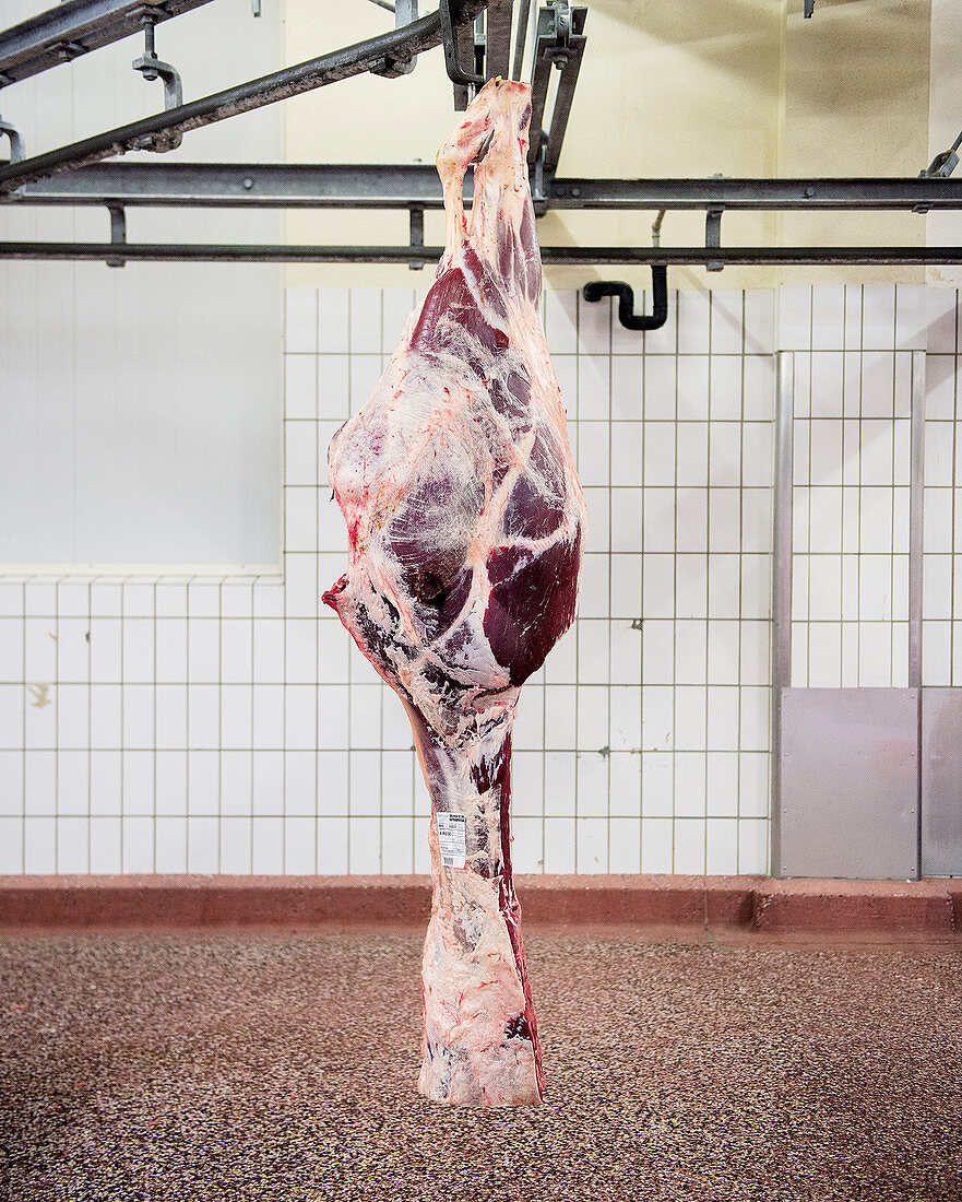 Pistolenschnitt - Rindfleisch am Haken in Schlachterei