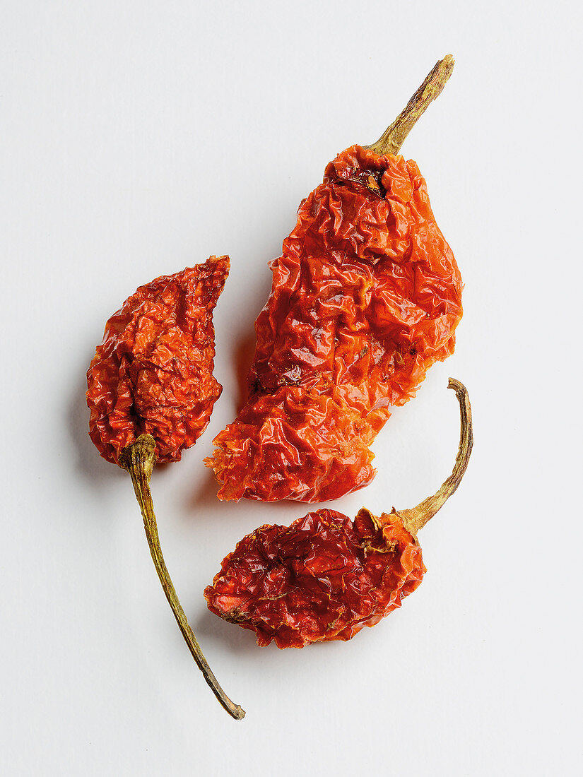 Bhut Jolokia Chili