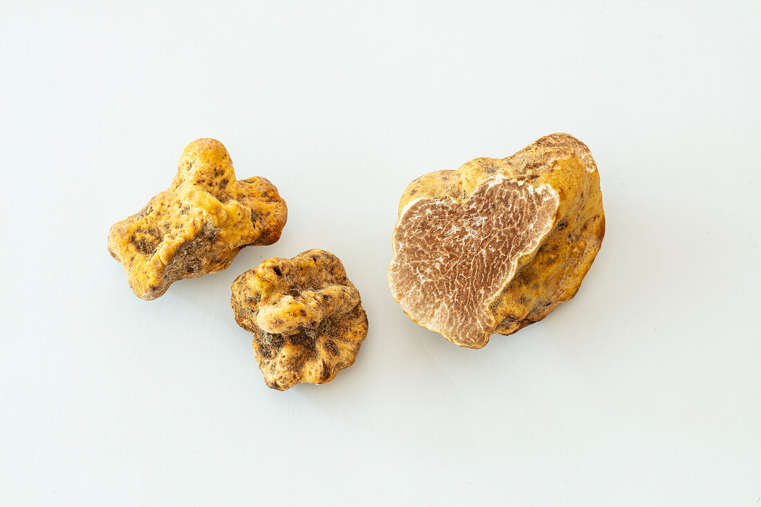 White alba truffles from Italy (tuber magnatum)