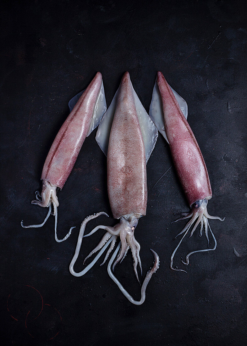 Uncooked meat of squids placed on black table on black background in studio