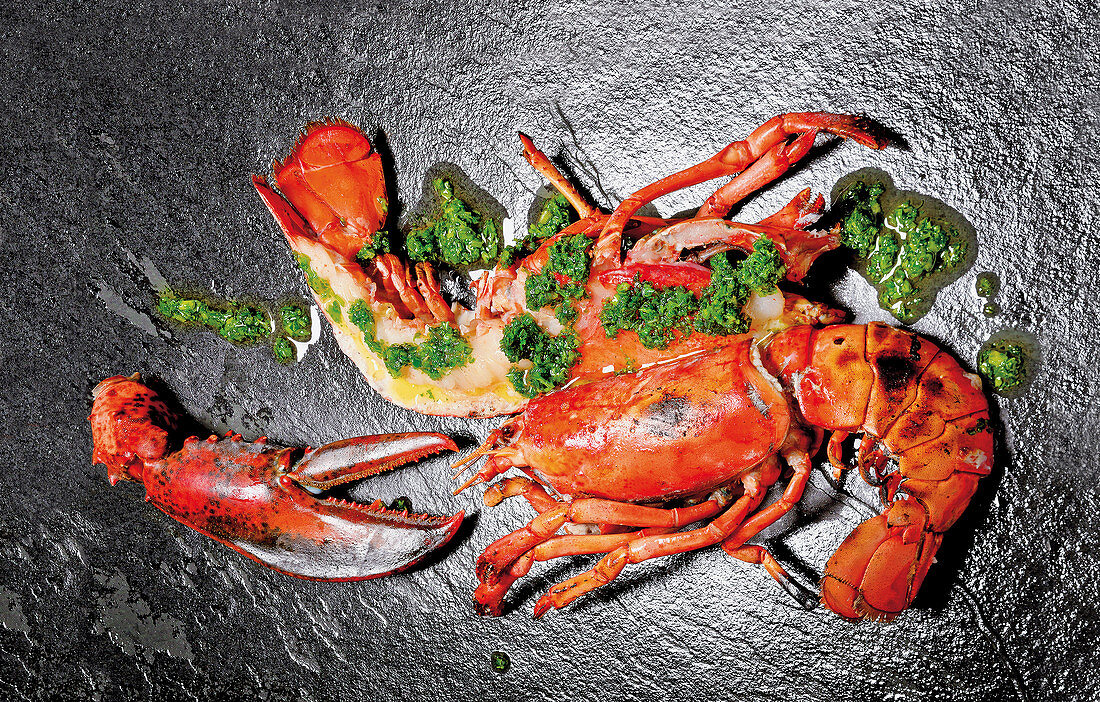 Grilled lobster with herb oil