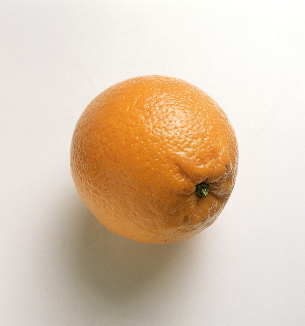 Eine Navel-Orange (süsse, kernlose Orangensorte)