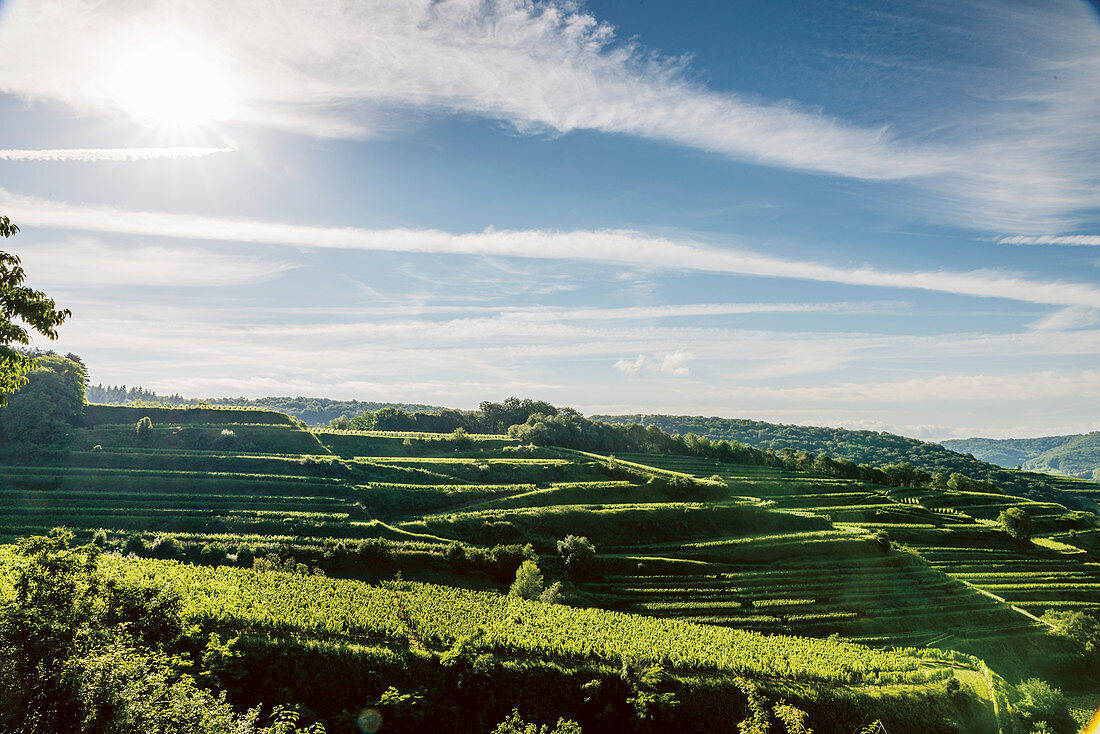 Blick auf den Pulverbuck, Baden-Württemberg, Deutschland