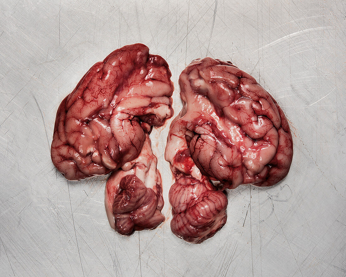 Raw pork brains