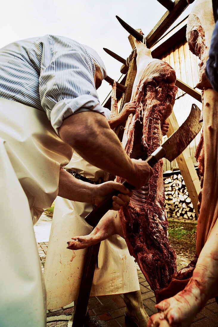 Home slaughtering – sides of pork being butchered