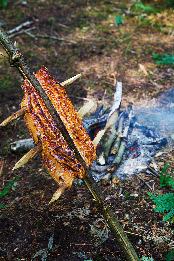 Wild salmon cooking over fire