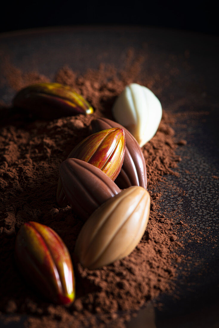 Handgemachte Pralinen in Form von Kakaofrüchten auf Kakaopulver