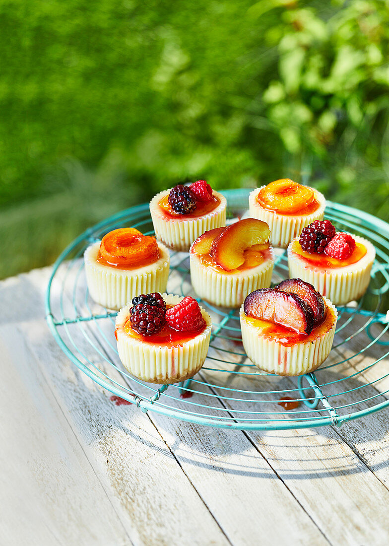 Mini-Käsekuchen mit Sommerfrüchten auf Abkühlgitter