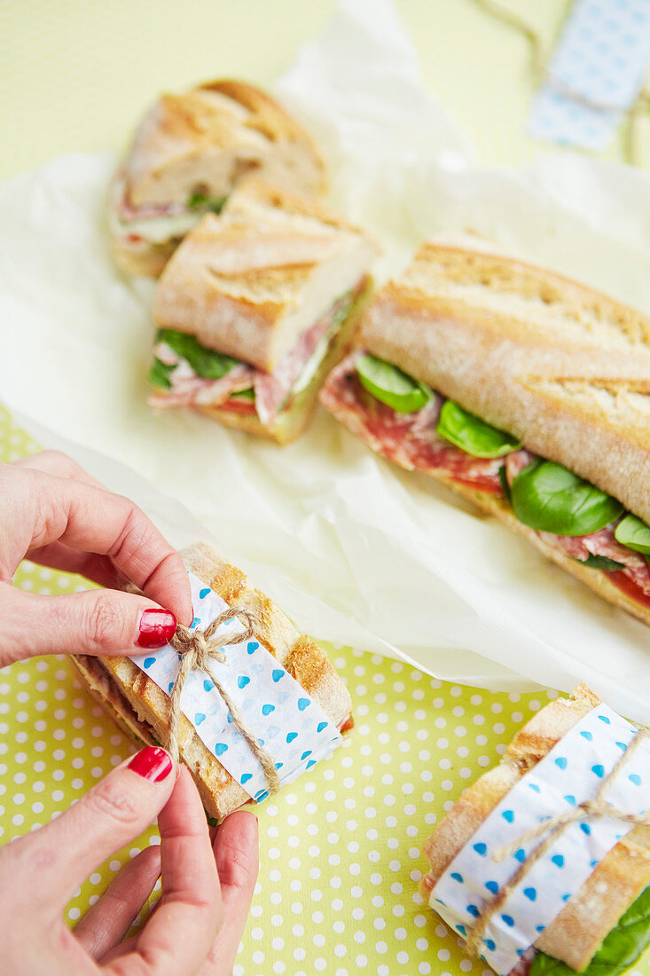 Picknick-Baguette mit Mozzarella und Salami