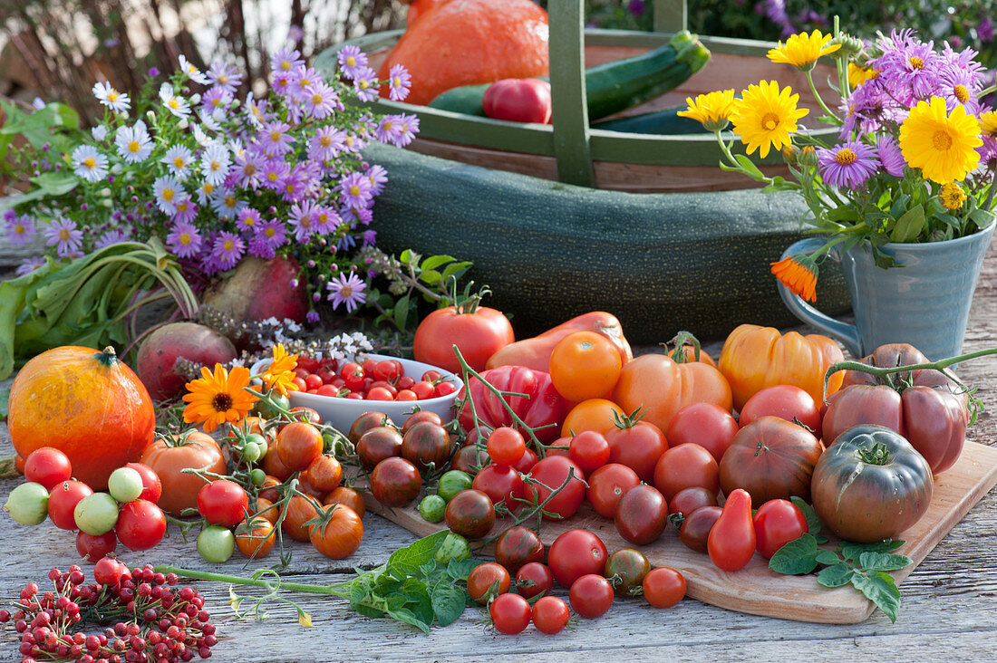 Erntetisch mit Tomaten, Zucchini, Hokkaido-Kürbis, Herbstastern, gelbe Bete, Strauß aus Ringelblumen und Aster, Kränzchen aus Hagebutten