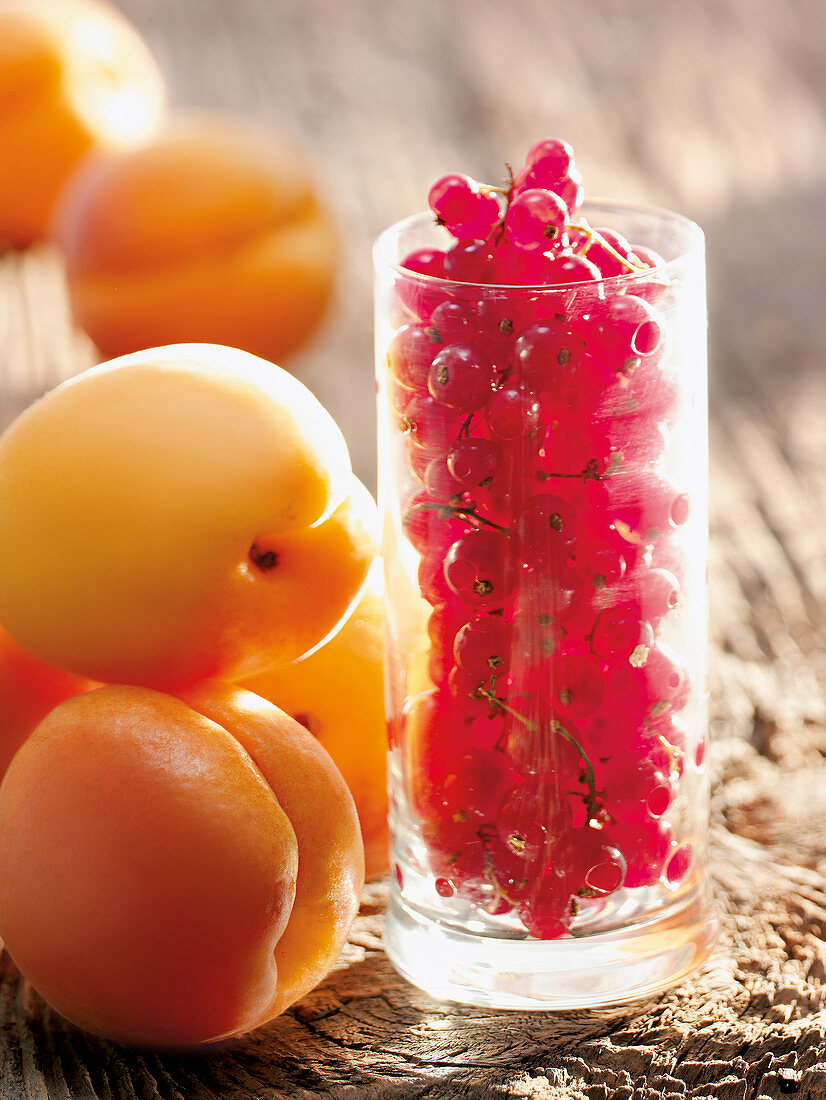 Aprikosen und rote Johannisbeeren im Glas