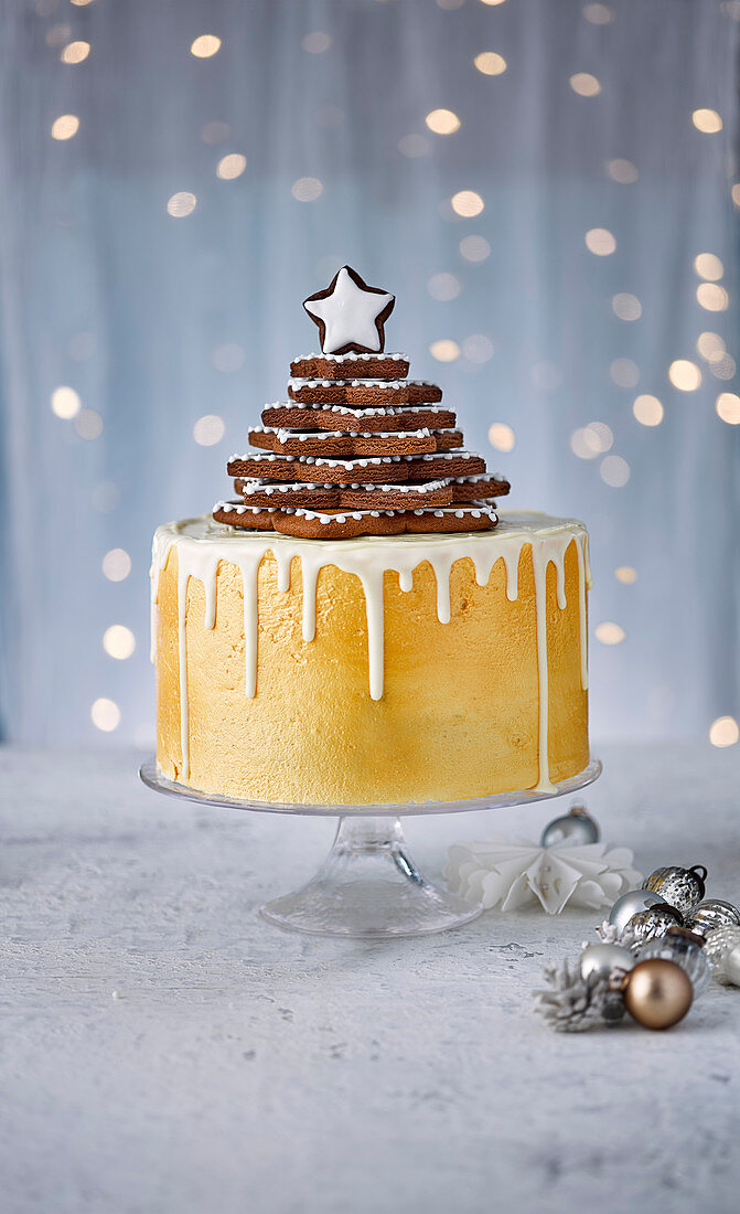 Vanille-Gewürz-Schokoladen-Dripping-Cake mit Lebkuchensternbaum