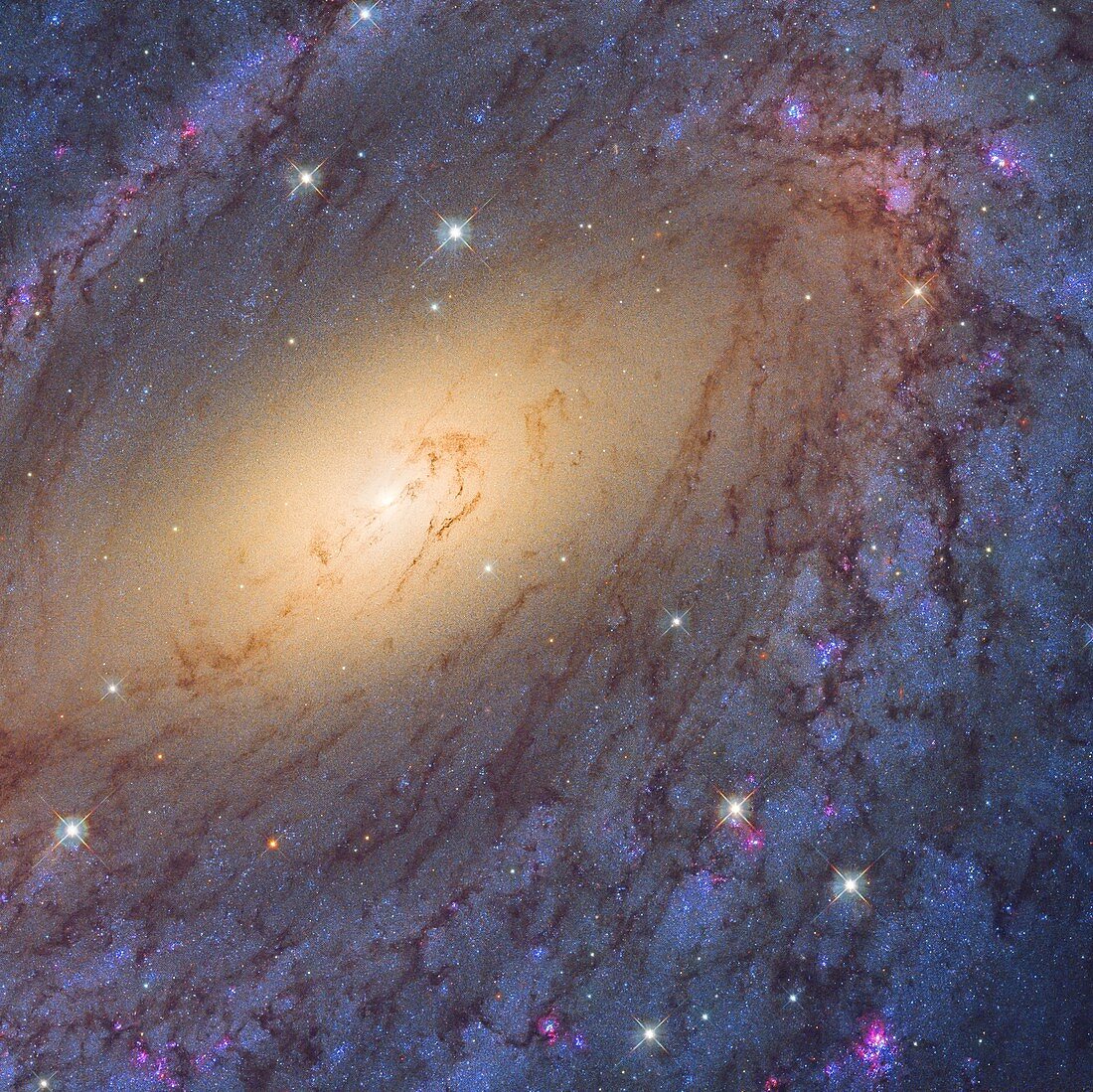 NGC 6744 galaxy, Hubble Space Telescope image