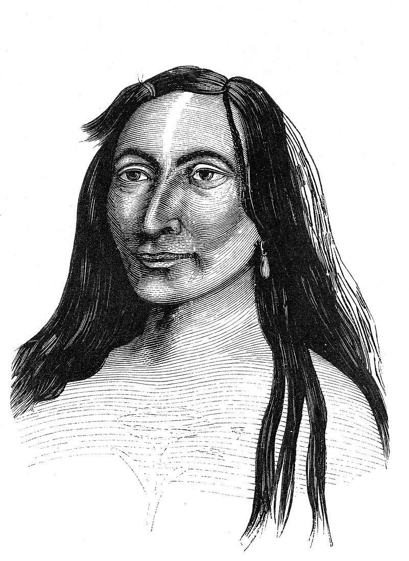 Cherokee warrior, 19th Century illustration