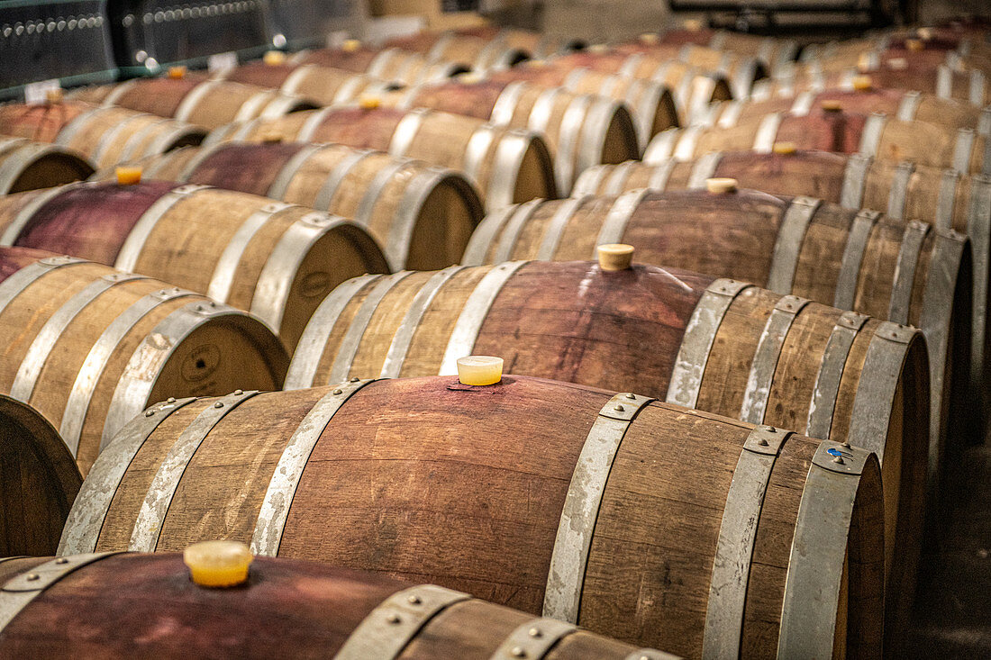 Wine barrels in winery