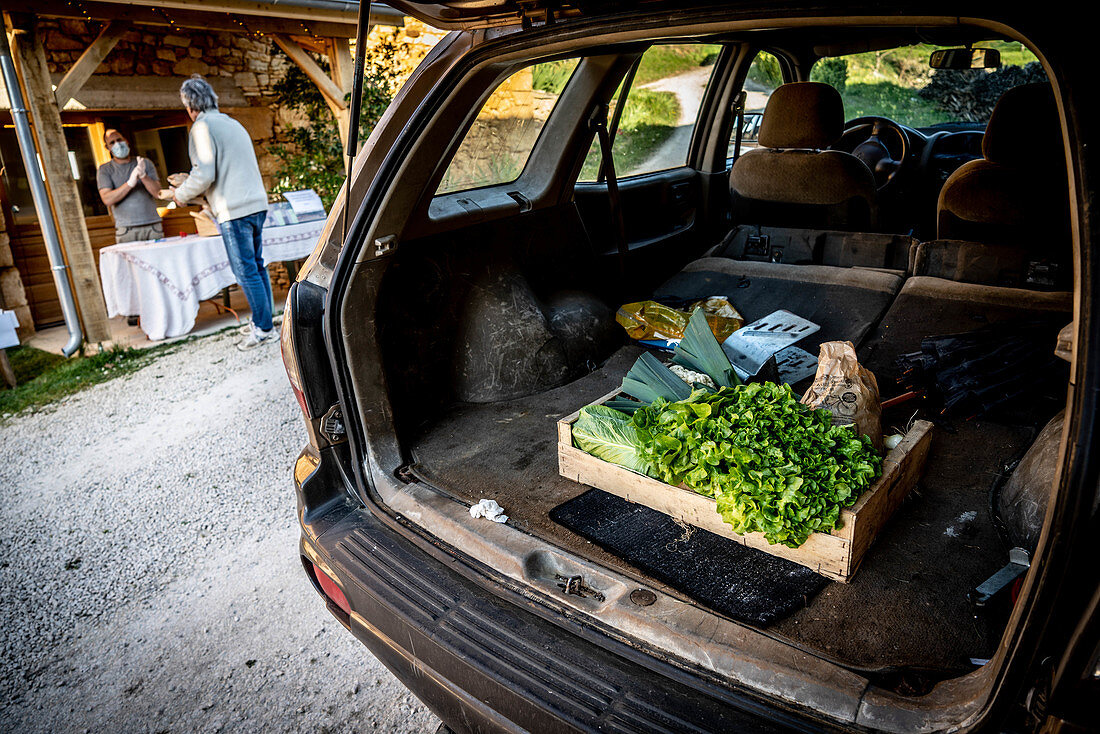 Local farmers selling vegetables