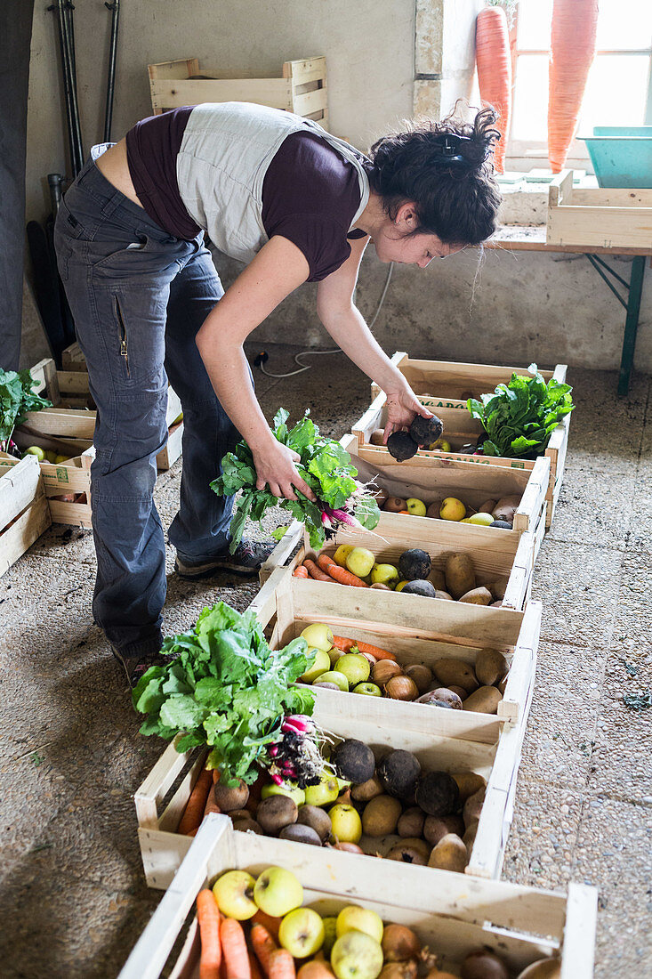 Organic food market