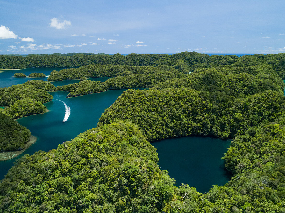 Aerial view of marine lake in Ngermid Bay, Palau