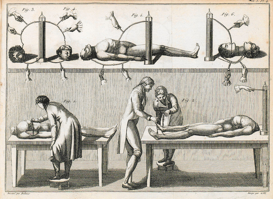 Galvani's corpse experiments, illustration