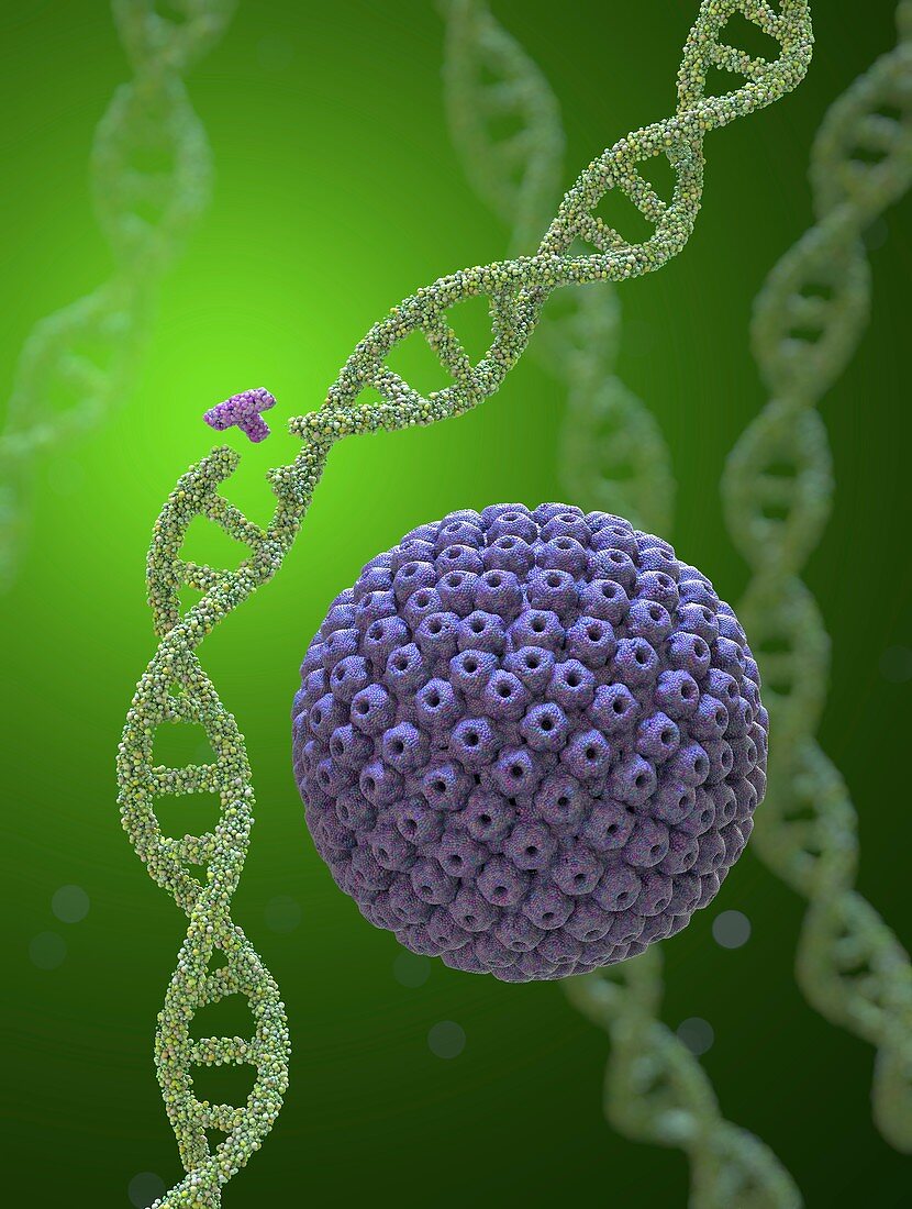 Gene editing, conceptual illustration