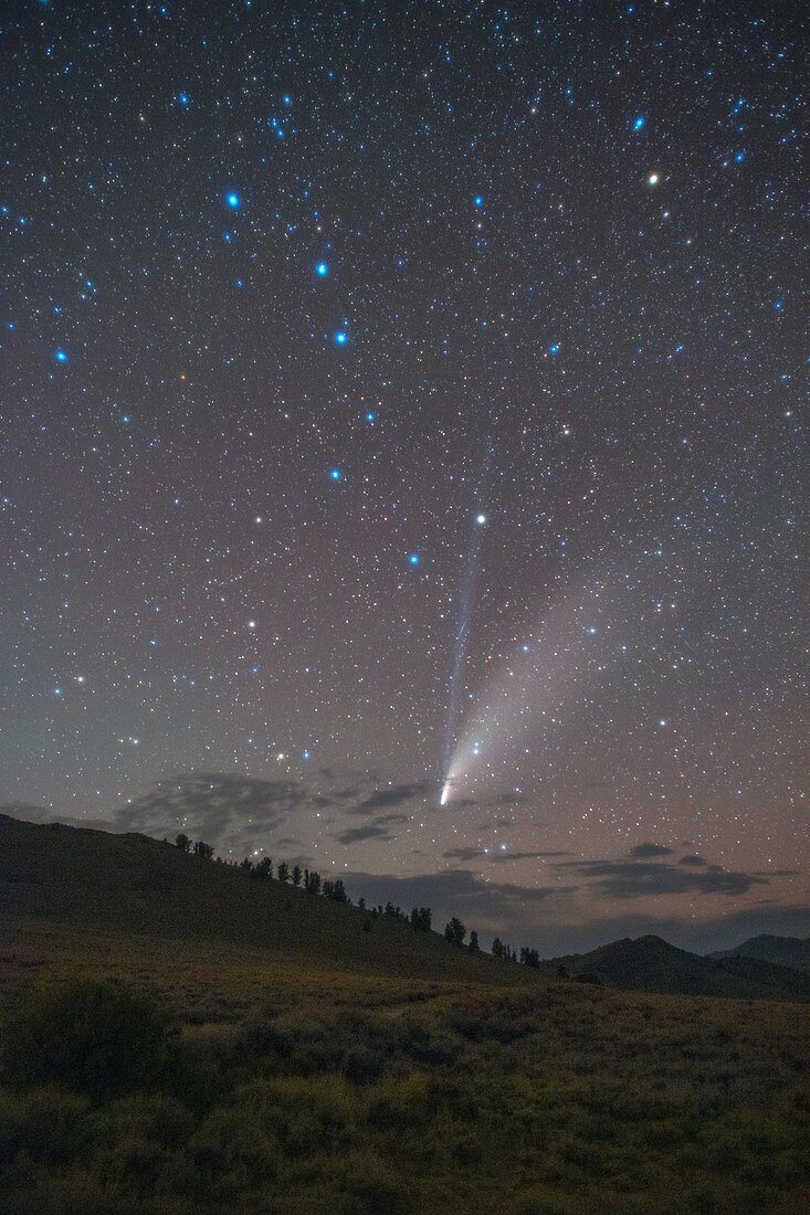 Comet Neowise over White Mountain Peak, California, USA