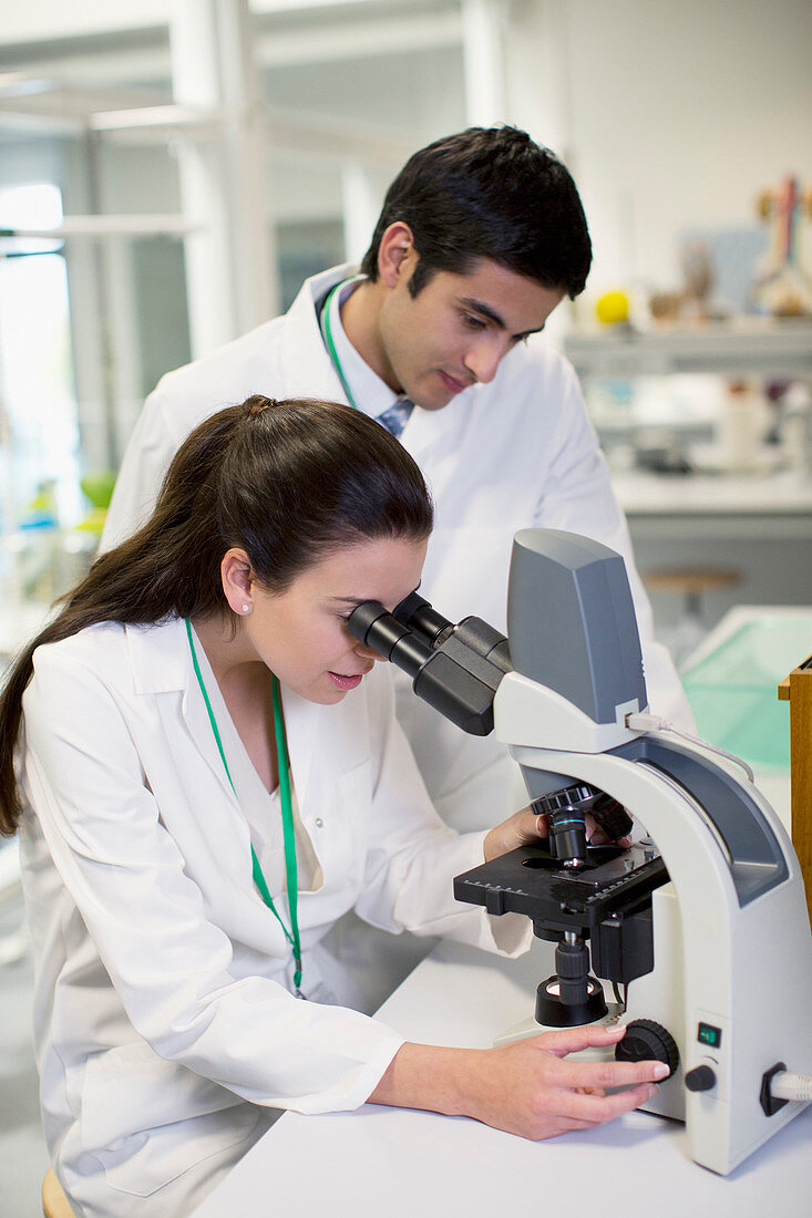 Scientists using microscope