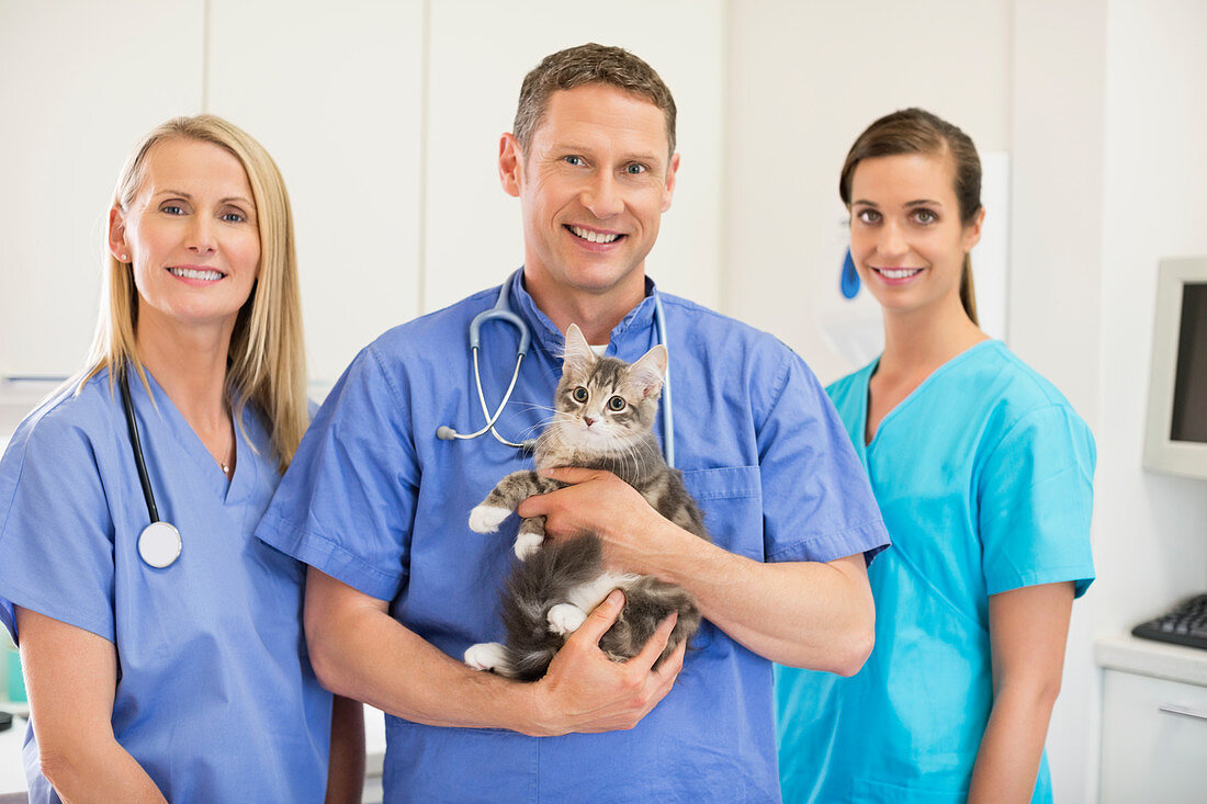 Veterinarians holding cat