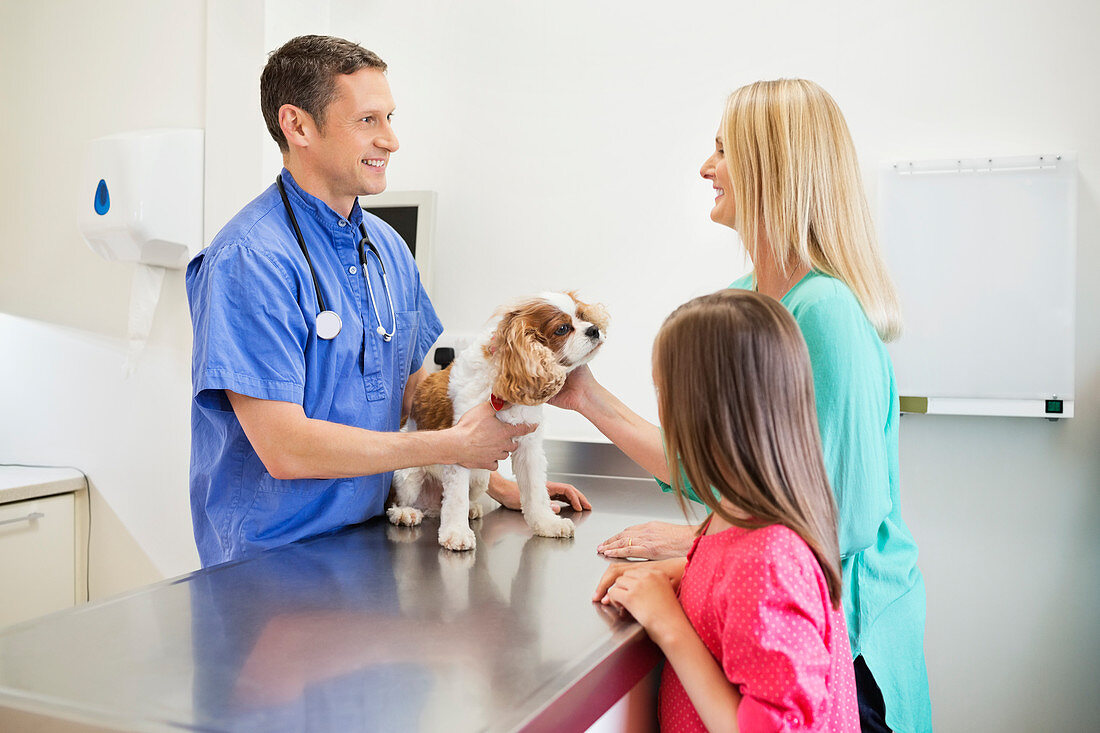 Veterinarian and owners examining dog