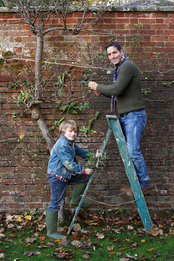 Father and son working in garden